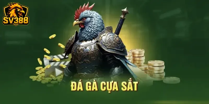 Làm chủ kèo đá gà cựa sắt SV388: Kinh nghiệm cho tân thủ